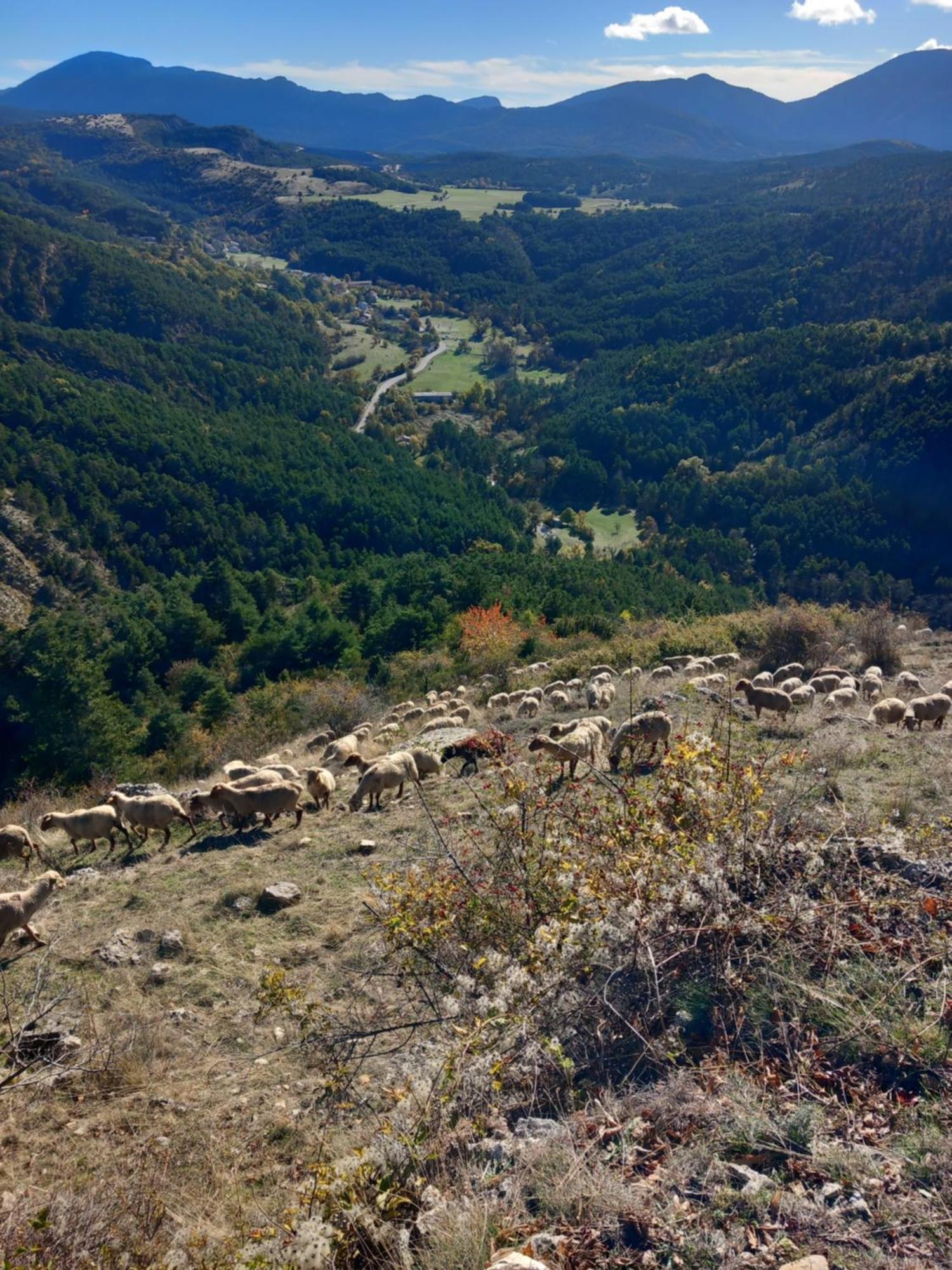Gite La Mountagna Peyroules Екстер'єр фото