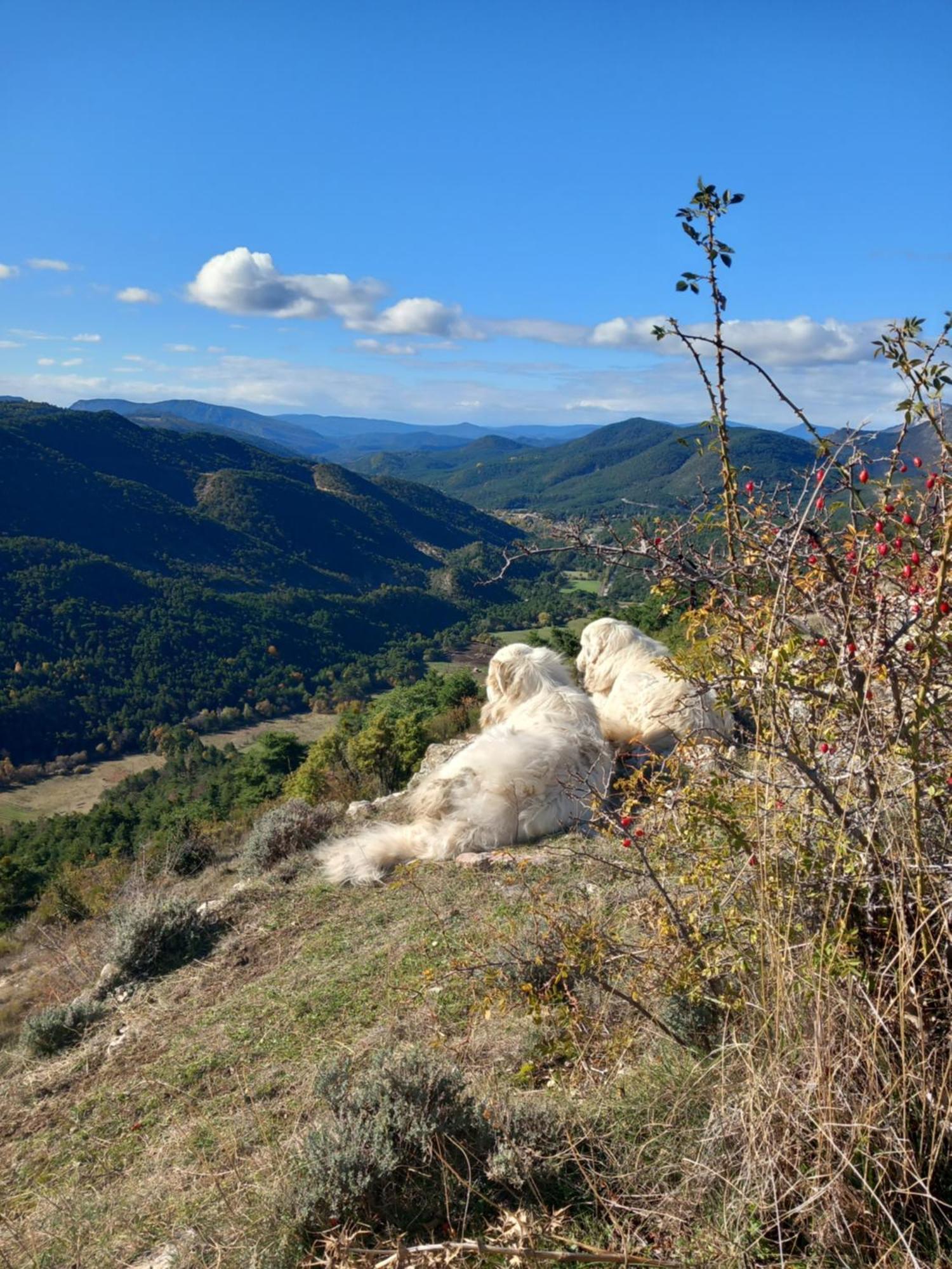 Gite La Mountagna Peyroules Екстер'єр фото